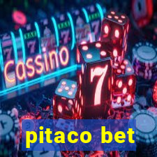 pitaco bet